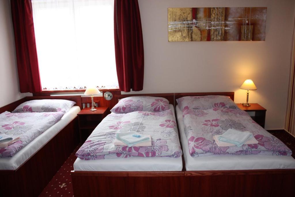 Hotel Hynek Náchod エクステリア 写真